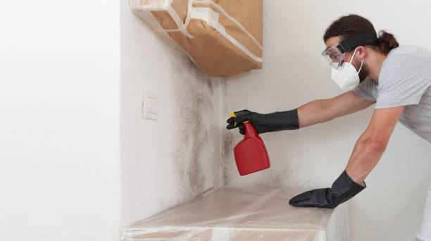Professional Bathroom Mold Removal technician working in Trenton, FL