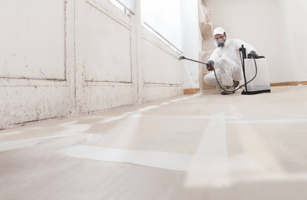 24/7 Emergency Bathroom Mold Removal experts in Trenton, FL