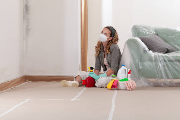 Reliable Bathroom Mold Removal contractor in Trenton, FL by 24 Hour Mold Removal